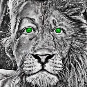 Meet your Posher, Sally